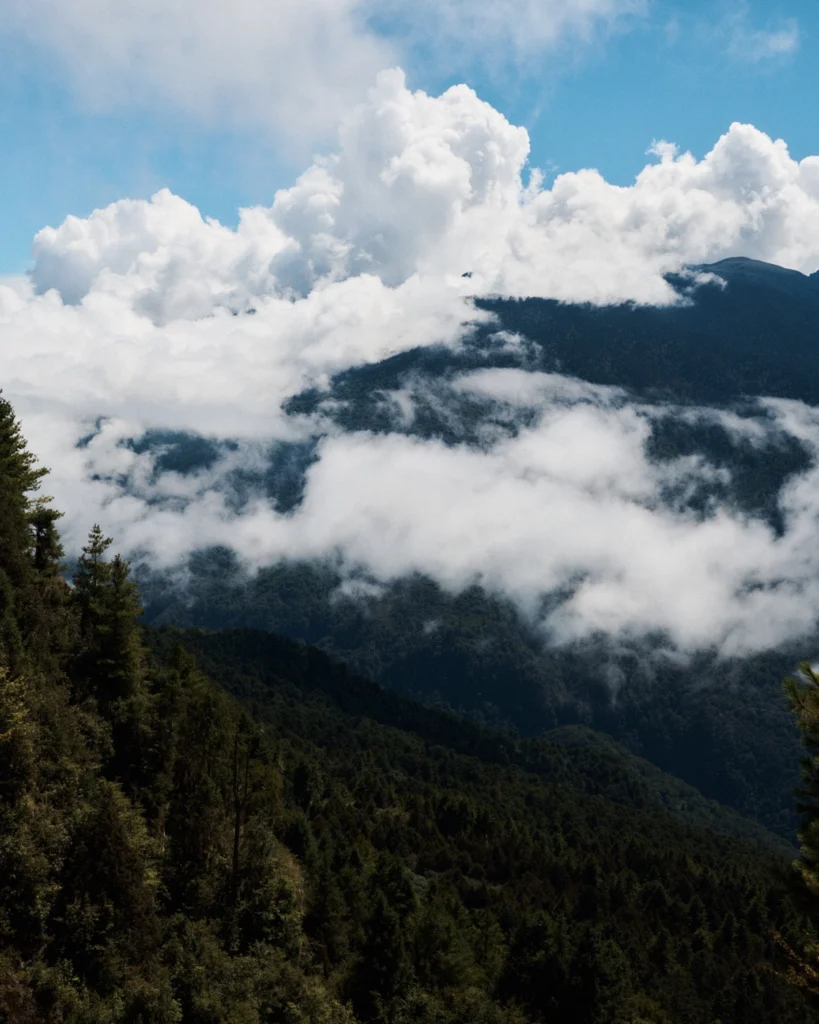 Cloud drifting over forested mountain ridges